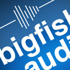 Big Fish Audio Distribution Partnership 